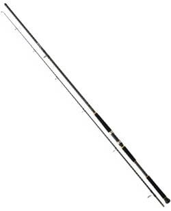 Shore Jigging Kamışları
