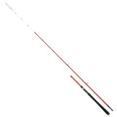Daiwa Sensor Palangrotte 1.80m 20-100gr 2P Bot Kamış