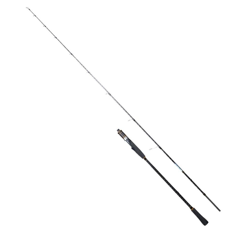 Ryuji Ocean Soul Fuji 180 Cm 20-60 Gr Slow Jig Kamışı