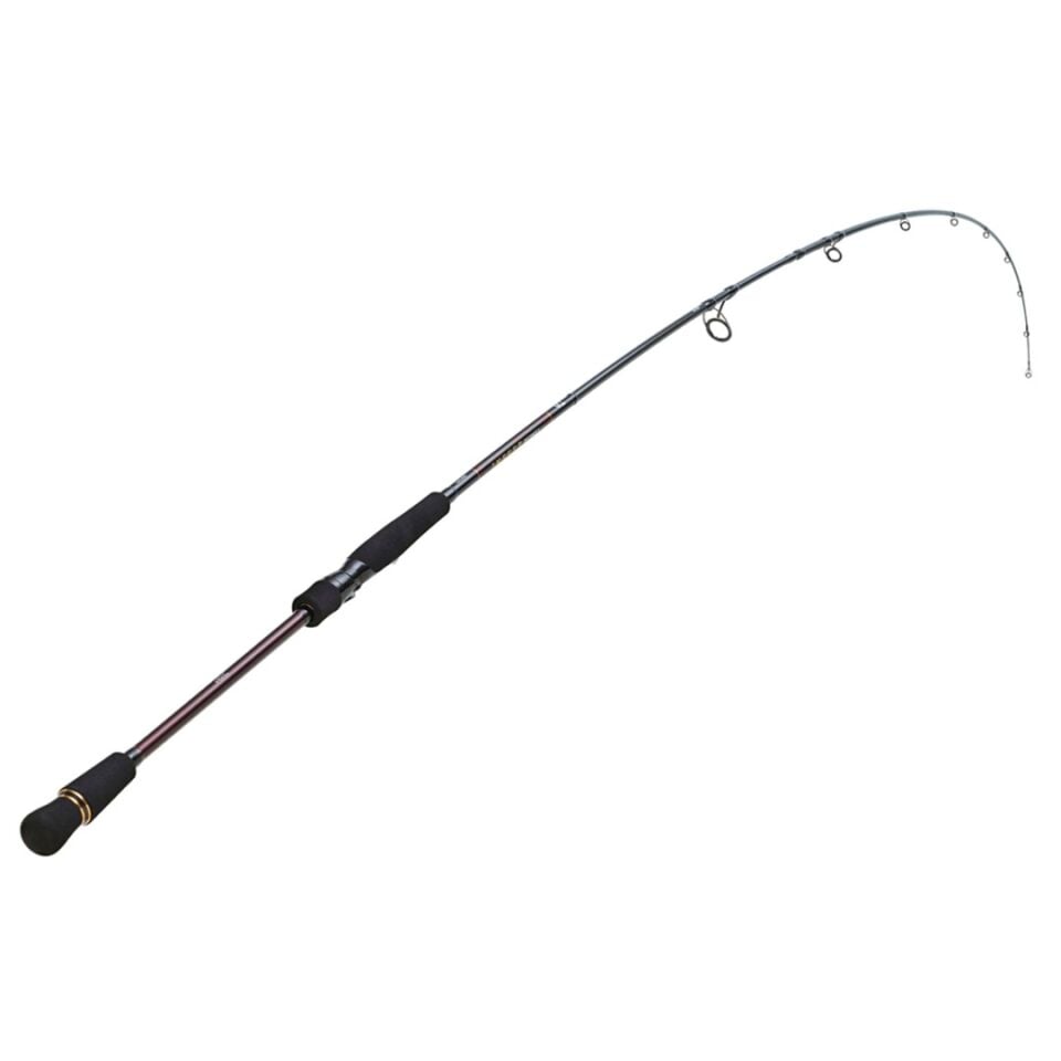 Daiwa Infeet Seabass 2.44m 7-28gr 2P Kamış