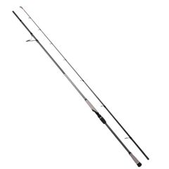 Ryuji Matrix Fuji 280 cm 25-80 gr Shore Jig Kamış